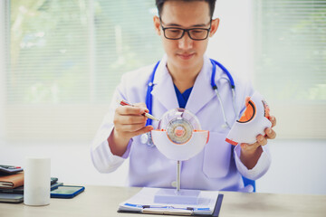 An ophthalmologist explains eye diseases using an eye model at an examination table in a hospital...