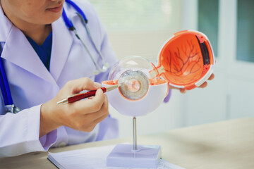An ophthalmologist explains eye diseases using an eye model at an examination table in a hospital...