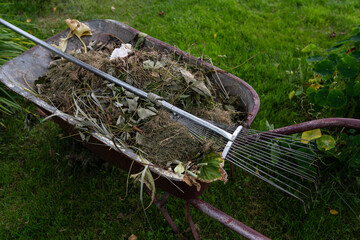 The garden wheelbarrow is completely filled with garden garbage. Dry grass