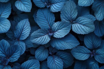 Fototapeta premium Macro leaves background , ai