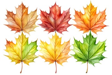 Obraz premium Autumn maple leaves of different colors