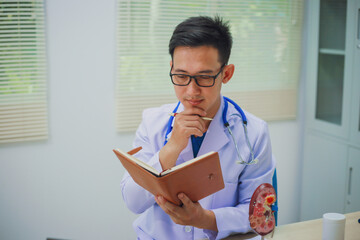 Doctor holding kidney medicine model