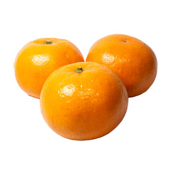 Tangerines and Oranges on White Background