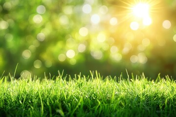 Obraz premium natural grass background with blurred bokeh and sun, ai
