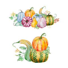 Watercolor pumpkins and foliage illustration set