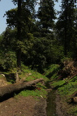 Landscape inside the Torbiera Park in Italy (Piemonte,Agrate)