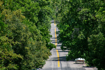 Tree lined street