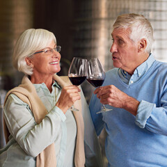 Wine cellar, love and senior couple with glass, toast and celebration with alcohol, industry and retirement. Cheers, woman and man with production, manufacturing and barrel with relationship and joy