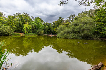 Fototapeta premium Blackweir Pond or better known as the 'Lost Pond', is often considered Epping Forest's most picturesque and tranquil - a perfect spot for quiet contemplation.