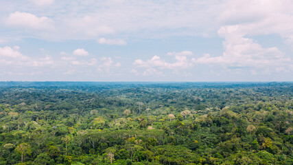 Naklejka premium The Amazons