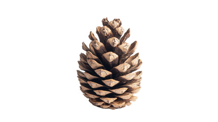 Cone transparent background