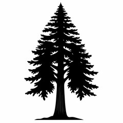 A Redwood tree silhouette black color vector style white background