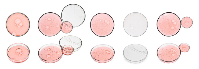 Set of Petri dishes with liquid samples on white background, top and side views