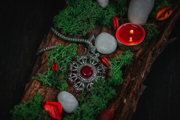 Ritual amulet, green moss and stones in the bark of a tree on a black background.