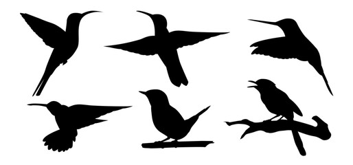 Hand Drawn Hummingbird Silhouette Isolated On White Background. Vector Illustration In Flat Style.
