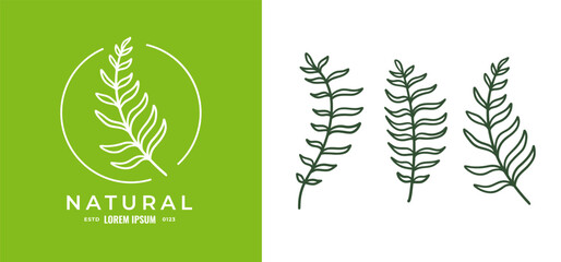 Organic fern illustration and badges logo template. Set of Minimalist stamp labels for tag fern leaves 02 © lucky_xtian