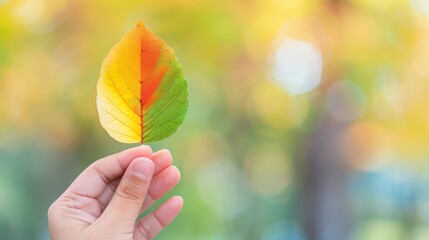 A hand holding a leaf with a green background