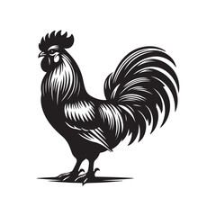 Cock chicken vector art silhouette design