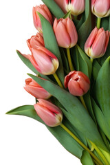 Naklejka premium PNG Bouquet of tulips flower petal plant.