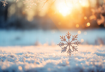 winter sunset in the forest generated by AI technology