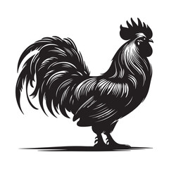 Cock chicken vector art silhouette design