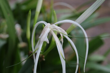 beautiful nature colorful photography. nature click 