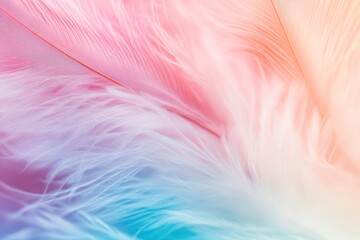 Obraz premium pastel colour feather abstract background , ai