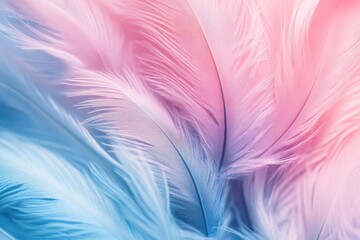 Fototapeta premium pastel colour feather abstract background , ai