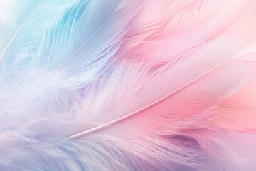 Obraz premium pastel colour feather abstract background , ai