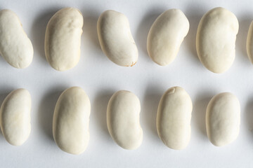 White beans on white background, top view, closeup.
