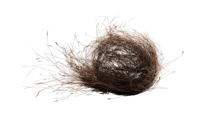 tumbleweed transparent background