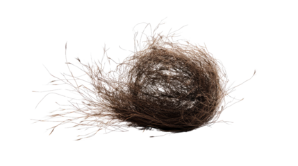 tumbleweed transparent background