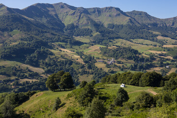Fototapeta premium vallée de la Jordanne dans les Monts du Cantal en été