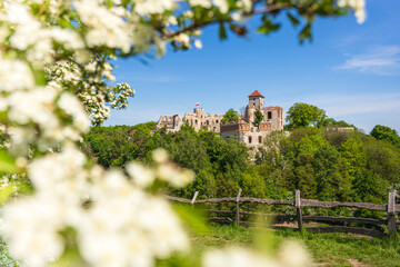 Tenczyn Castle in Rudno | Poland