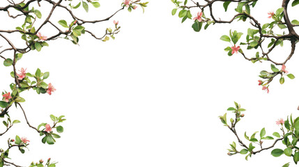 Branches with blossom transparent background