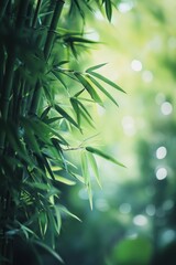 Lush Bamboo Leaves with Dew in Soft Morning Light - Close-up of lush bamboo leaves with fresh dew drops, beautifully illuminated by soft morning light, creating a serene natural scene.