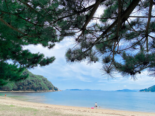瀬戸内海の浜辺