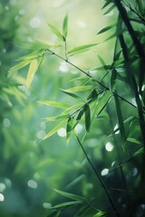 Lush Bamboo Leaves with Dew in Soft Morning Light - Close-up of lush bamboo leaves with fresh dew drops, beautifully illuminated by soft morning light, creating a serene natural scene.