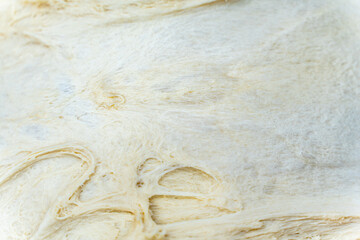 Texture of evenly rolled dough.Background of the dough for baking.
