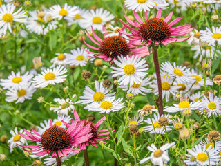 Park in Ost.-Westfalen