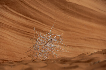 Closeup of the eroded wall of a sandstone cliff