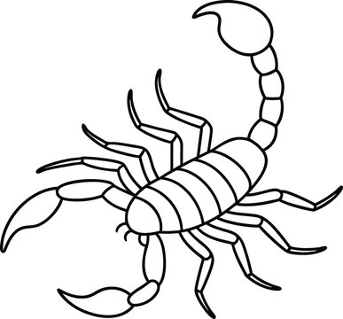 recommend clip art: Scorpion vector illustration Line art for coloring book page
                    
                    