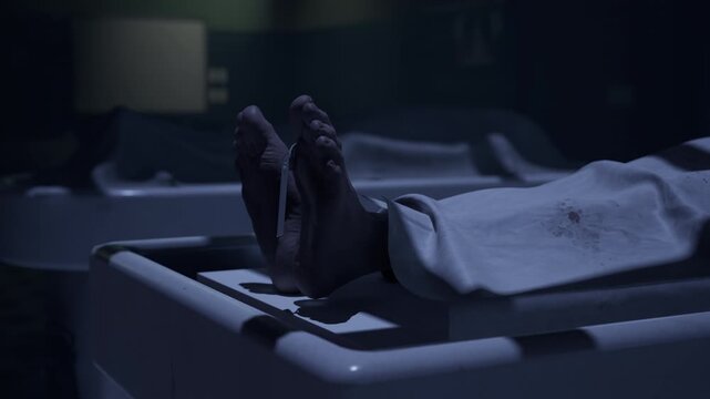 Morgue, three dead bodies ready for autopsy