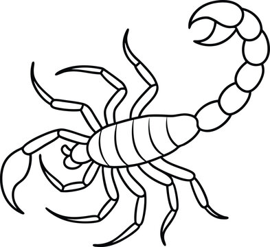 recommend clip art: Scorpion vector illustration Line art for coloring book page
                    
                    