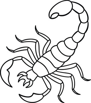 recommend clip art: Scorpion vector illustration Line art for coloring book page
                    
                    