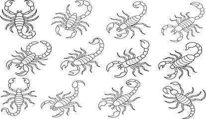 Fototapeta premium Set of Scorpion vector illustration Line art for coloring book page