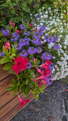 mixed purple flowers in the city