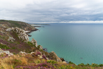 Falaises recouvertes de bruyères en fleurs et d'herbes sauvages, surplombant la mer d'Iroise dans la baie de Douarnenez, sur la presqu'île de Crozon en Bretagne.