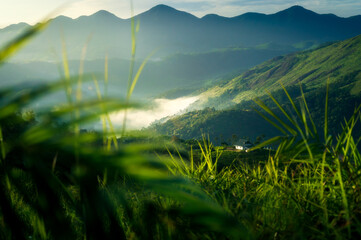Serene Mountain Landscape with Morning Mist and Isolated House