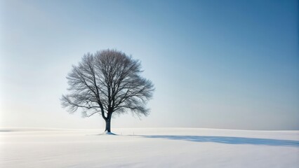 Fototapeta premium Minimalistic tree in a snowy landscape, winter, cold, snow, white, minimalism, tranquil, serene, nature, frozen, solitude